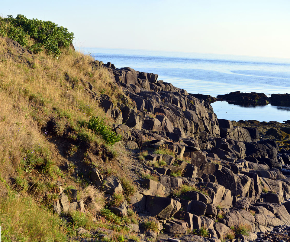 _DSC0974_-_977.jpg