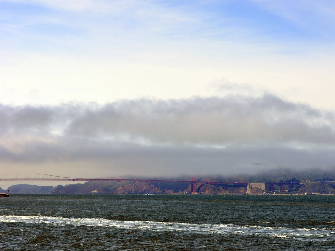 _DSC2500.jpg