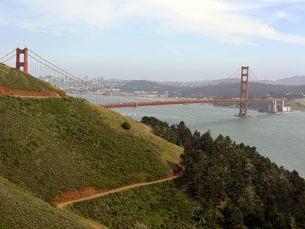 _DSC3374.jpg