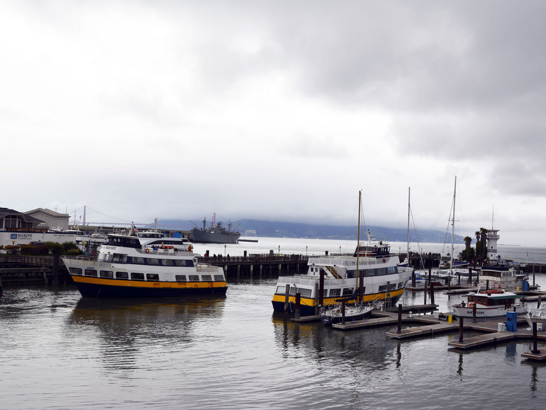 _DSC3559.jpg