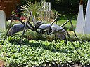 DSC_0276.jpg