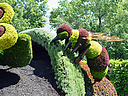 DSC_0279.jpg
