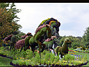 DSC_0324.JPG
