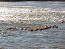 DSC_0563.JPG