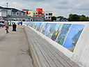 DSC_0623.JPG