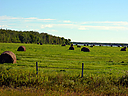 DSC_0679.JPG