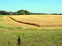 DSC_0752.JPG