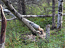 DSC_0753.JPG