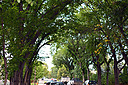 DSC_0794.JPG