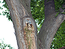 DSC_0796.JPG