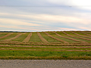 DSC_0816.JPG