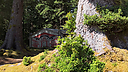 IMG_4186.jpg