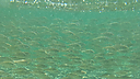 IMG_8663.jpg