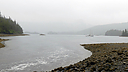 P1000335.jpg