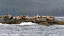 P1000625.jpg