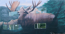 P1000703_rev_800x423.jpg