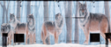 P1000707_rev_800x336.jpg