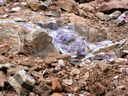 P1000723_800x600.JPG