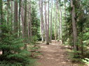 P1000887_rev_800x600.JPG