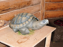 P1000916_800x600.JPG