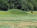P1000925_rev_800x616.JPG