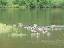 P1000948_rev_800x600.JPG