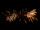 Filename=P1010168.JPG
Filesize=226KiB
Dimensions=800x600
Date added=Aug 26, 2011 P1010168.JPG