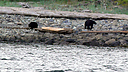 P1010438.jpg