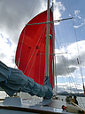 P1010464.jpg