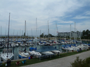 P1020626.jpg