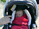 Shane_DSC0079.jpg