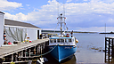 Shane_DSC0910.jpg