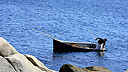 _DSC0073.jpg