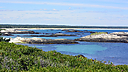 _DSC0075.jpg
