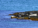 _DSC0132.jpg