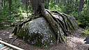_DSC0148~0.jpg