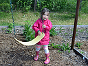 Filename=_DSC0822.jpg
Filesize=461KiB
Dimensions=1200x900
Date added=Jun 07, 2016 _DSC0822.jpg