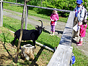 Filename=_DSC0856.jpg
Filesize=478KiB
Dimensions=1200x900
Date added=Jun 07, 2016 _DSC0856.jpg