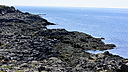 _DSC0922.jpg