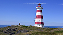 _DSC0939.jpg