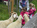 Filename=_DSC1002.jpg
Filesize=332KiB
Dimensions=1200x900
Date added=Jun 07, 2016 _DSC1002.jpg