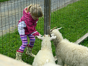 Filename=_DSC1009.jpg
Filesize=403KiB
Dimensions=1200x900
Date added=Jun 07, 2016 _DSC1009.jpg