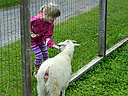 Filename=_DSC1019.jpg
Filesize=442KiB
Dimensions=1200x900
Date added=Jun 07, 2016 _DSC1019.jpg
