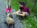 Filename=_DSC1038.jpg
Filesize=454KiB
Dimensions=1200x900
Date added=Jun 07, 2016 _DSC1038.jpg