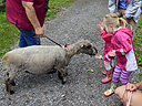 Filename=_DSC1045.jpg
Filesize=395KiB
Dimensions=1200x900
Date added=Jun 07, 2016 _DSC1045.jpg