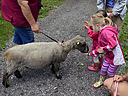 Filename=_DSC1048.jpg
Filesize=377KiB
Dimensions=1200x900
Date added=Jun 07, 2016 _DSC1048.jpg