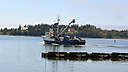 _DSC1697.jpg