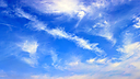 _DSC1824_-_837.jpg