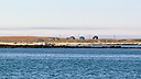_DSC1902.jpg