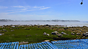 _DSC1933_-_951.jpg